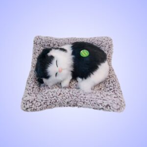 Carpet Cat(Imported)